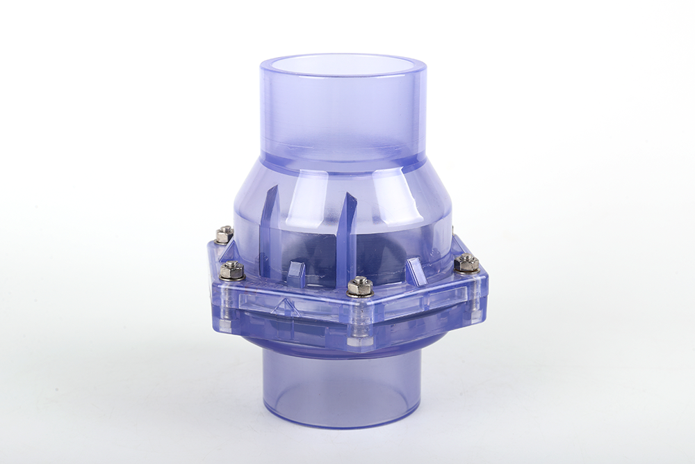 迁西透明翻板式止回阀